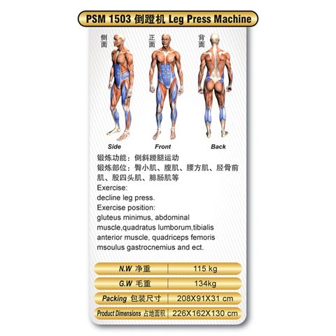 倒蹬机PSM-1503